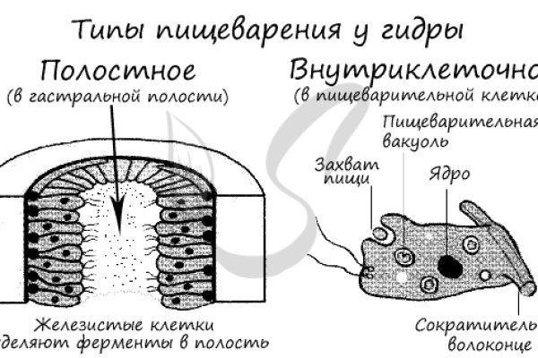 Как найти кракен в торе