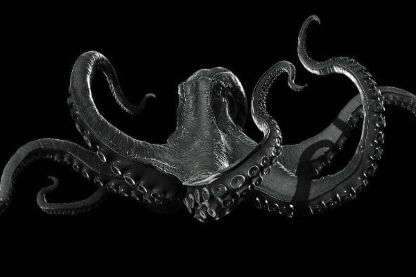 Kraken 12 at